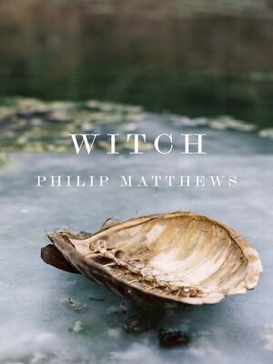 cover image of Witch